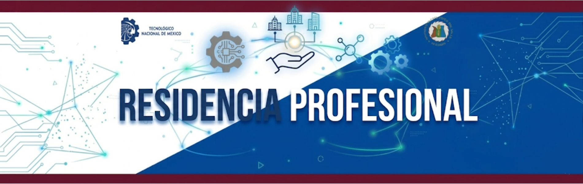 RESIDENCIA PROFESIONAL