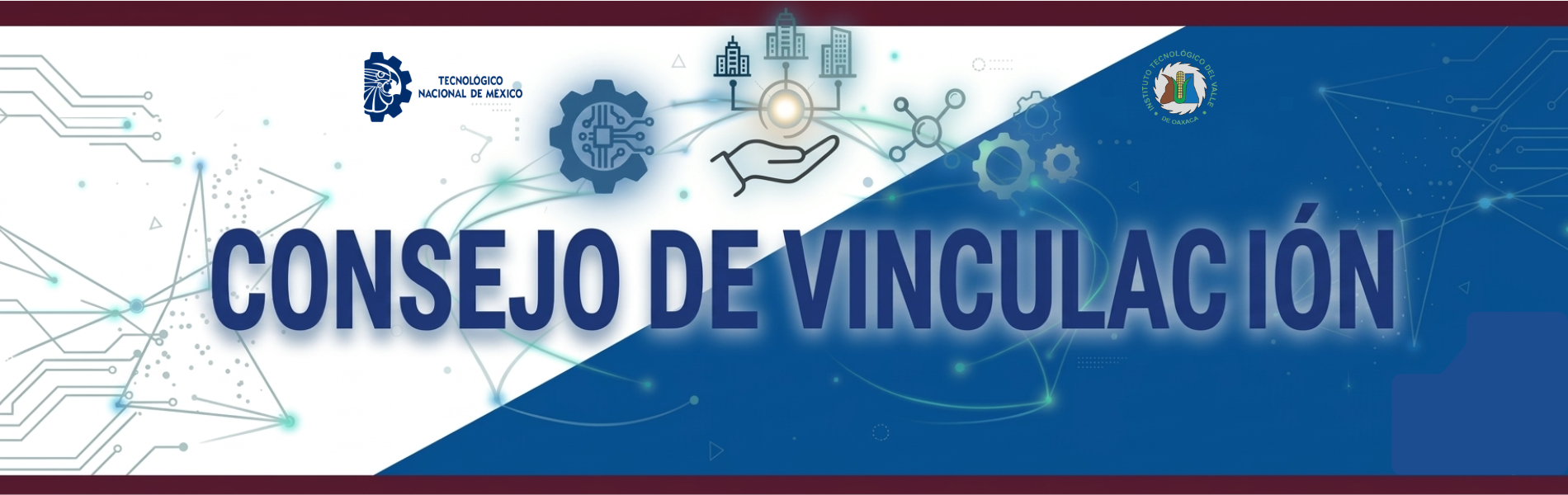 CONSEJO DE VINCULACION